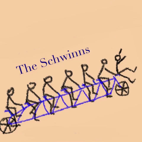 The Schwinns