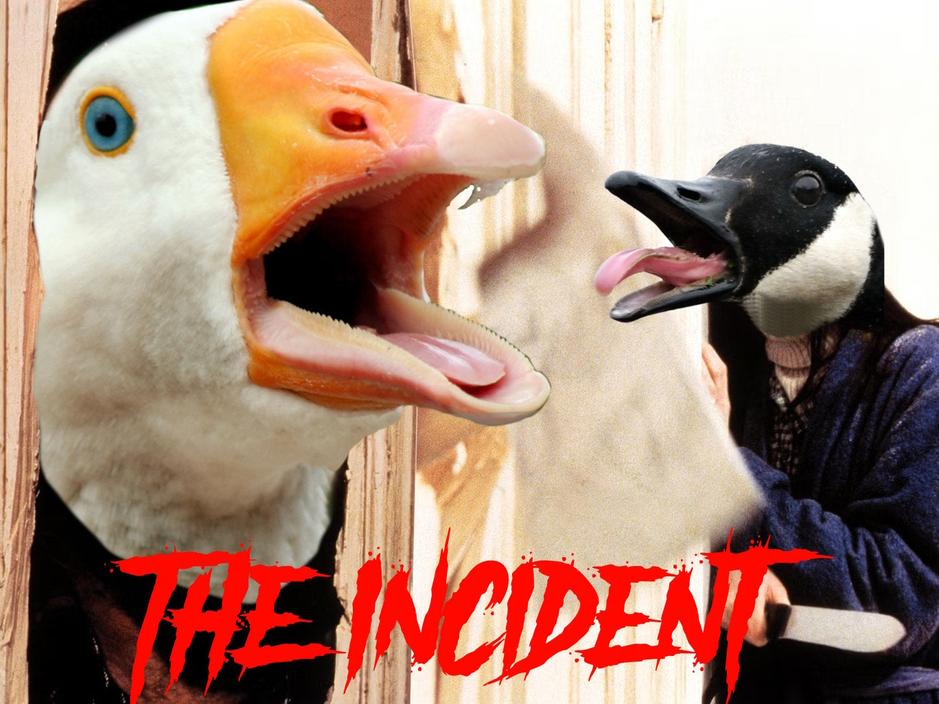 The Incident